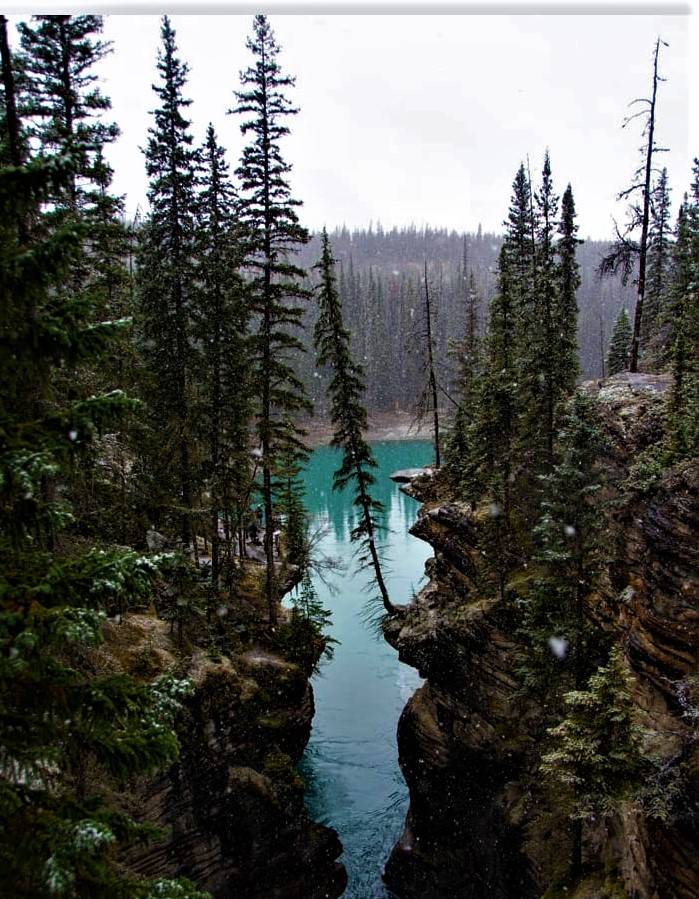 82329576_2751039171652786_2852709285069062144_o[1]