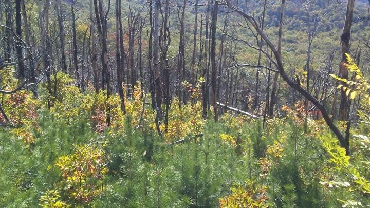 89382522_826980427802971_5236685854000283648_n